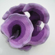 Hyperbolic geometry in craft.
